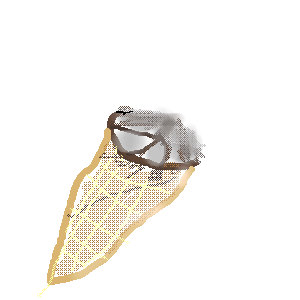 OB1554295021802.png